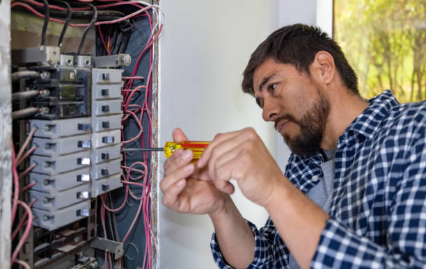 Best Electric Panel Repair  in Jericho, NY